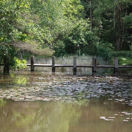 Spruce Lake Sauviat-sur-Vige Экстерьер фото