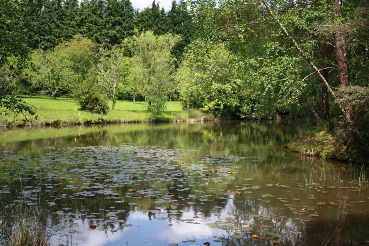 Spruce Lake Sauviat-sur-Vige Экстерьер фото