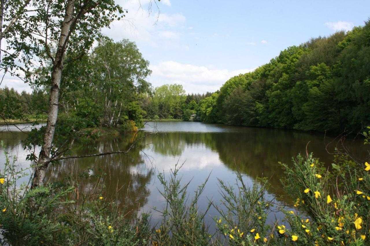 Spruce Lake Sauviat-sur-Vige Экстерьер фото